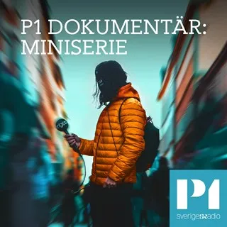 Swedish Radio (SR) Podcast about the abduction of my daughters 2020.06.16.
